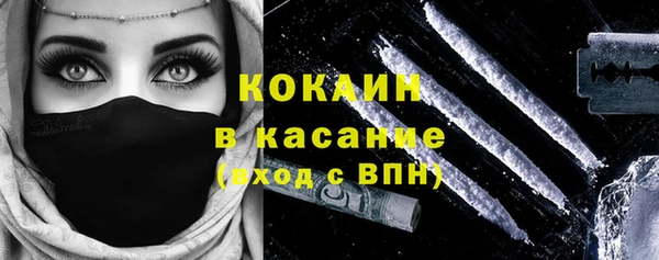 PSILOCYBIN Белокуриха